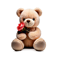 מוצרים נלווים